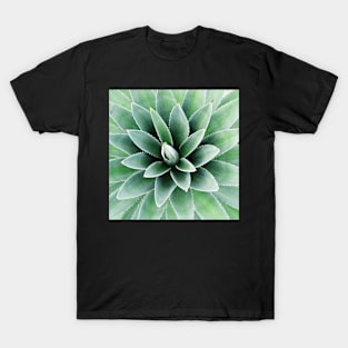 Plant print, Cactus print, Succulent, Scandinavian print, Trendy print, Styled, Pillow, Modern art, Wall art, Print, Minimalistic, Modern T-Shirt